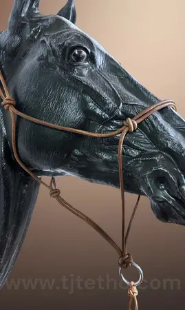 Licol éthologique en cuir NDA