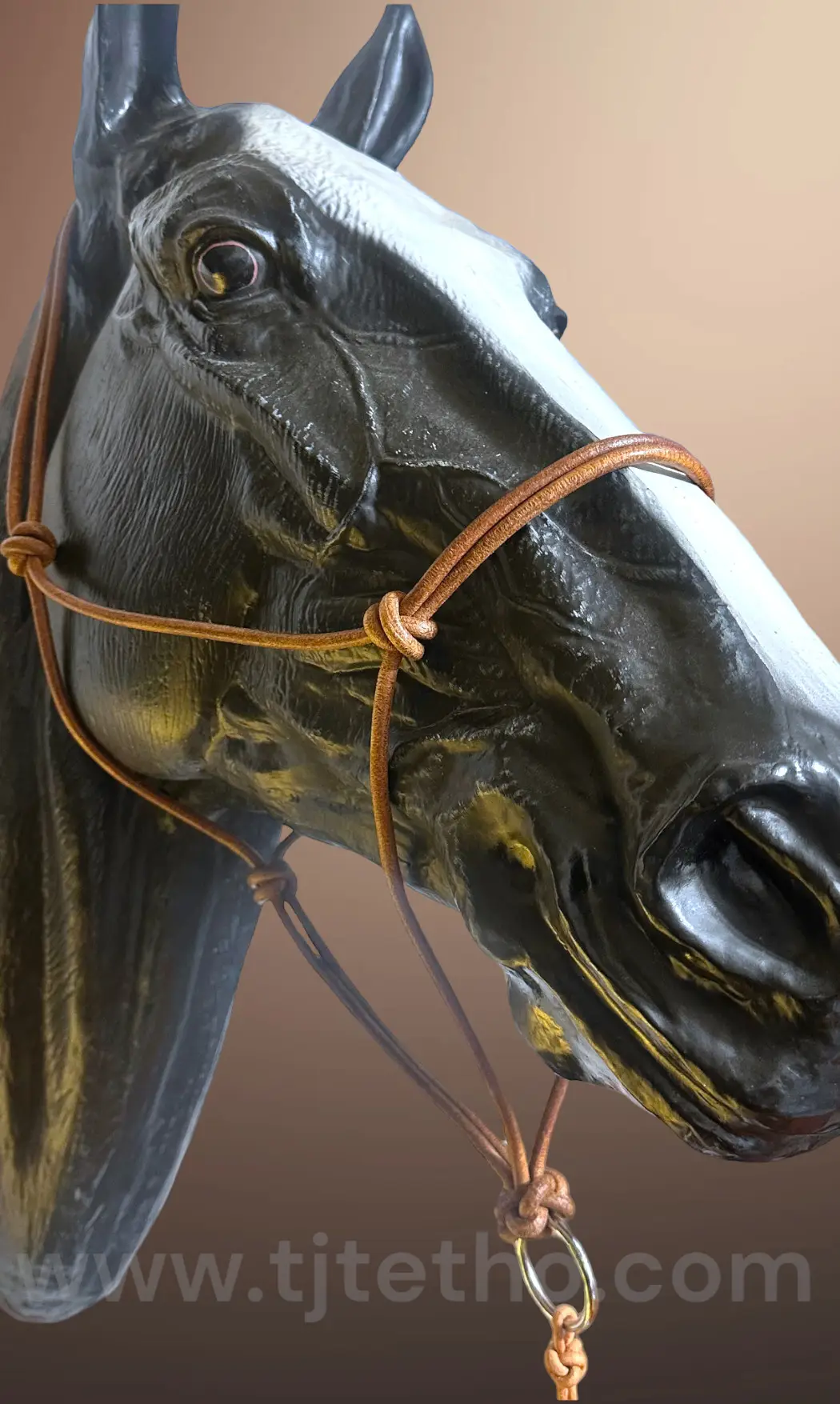 Licol éthologique en cuir NDA
