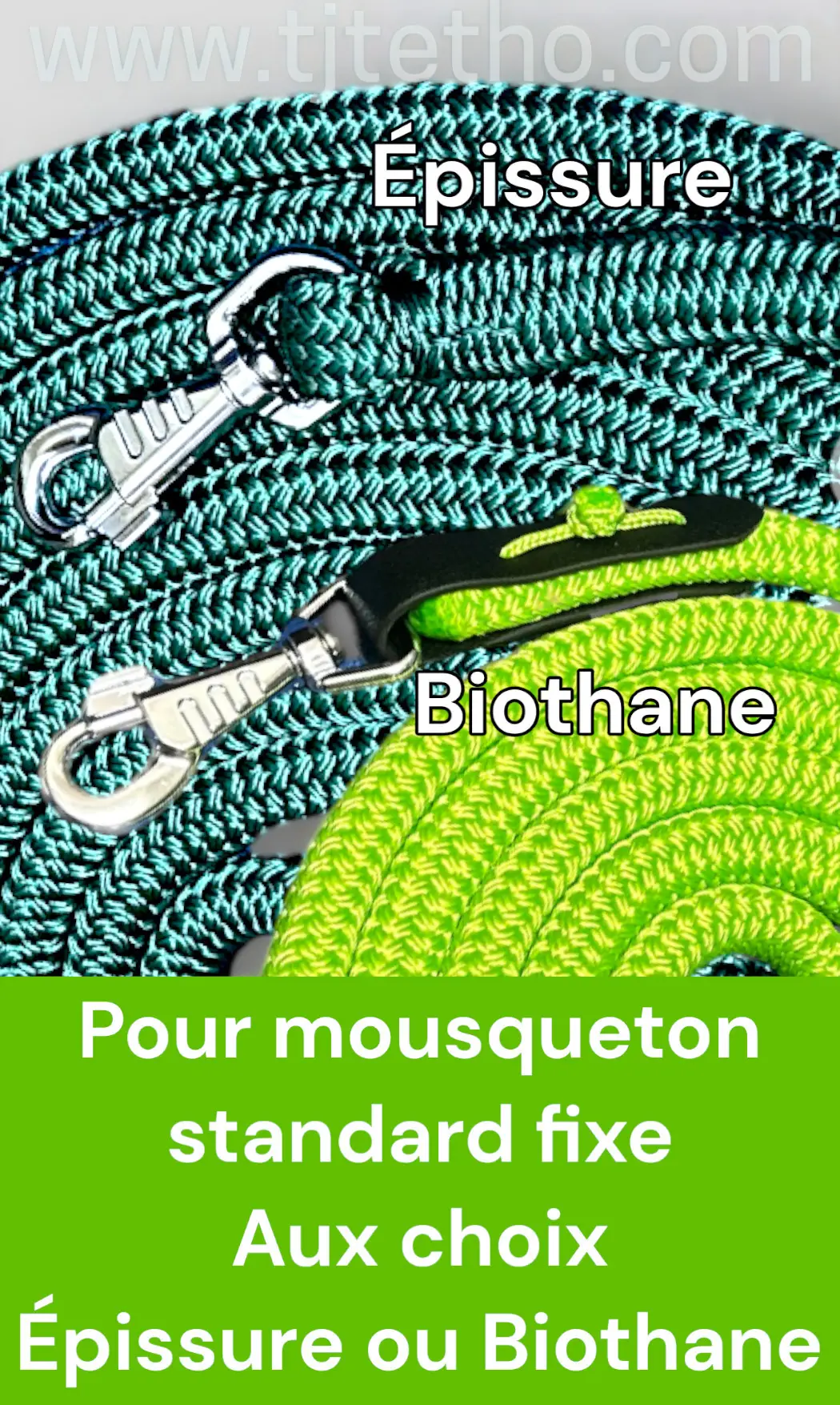 Longe éthologique 7m