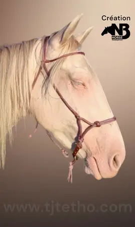 Licol NB Horse Development