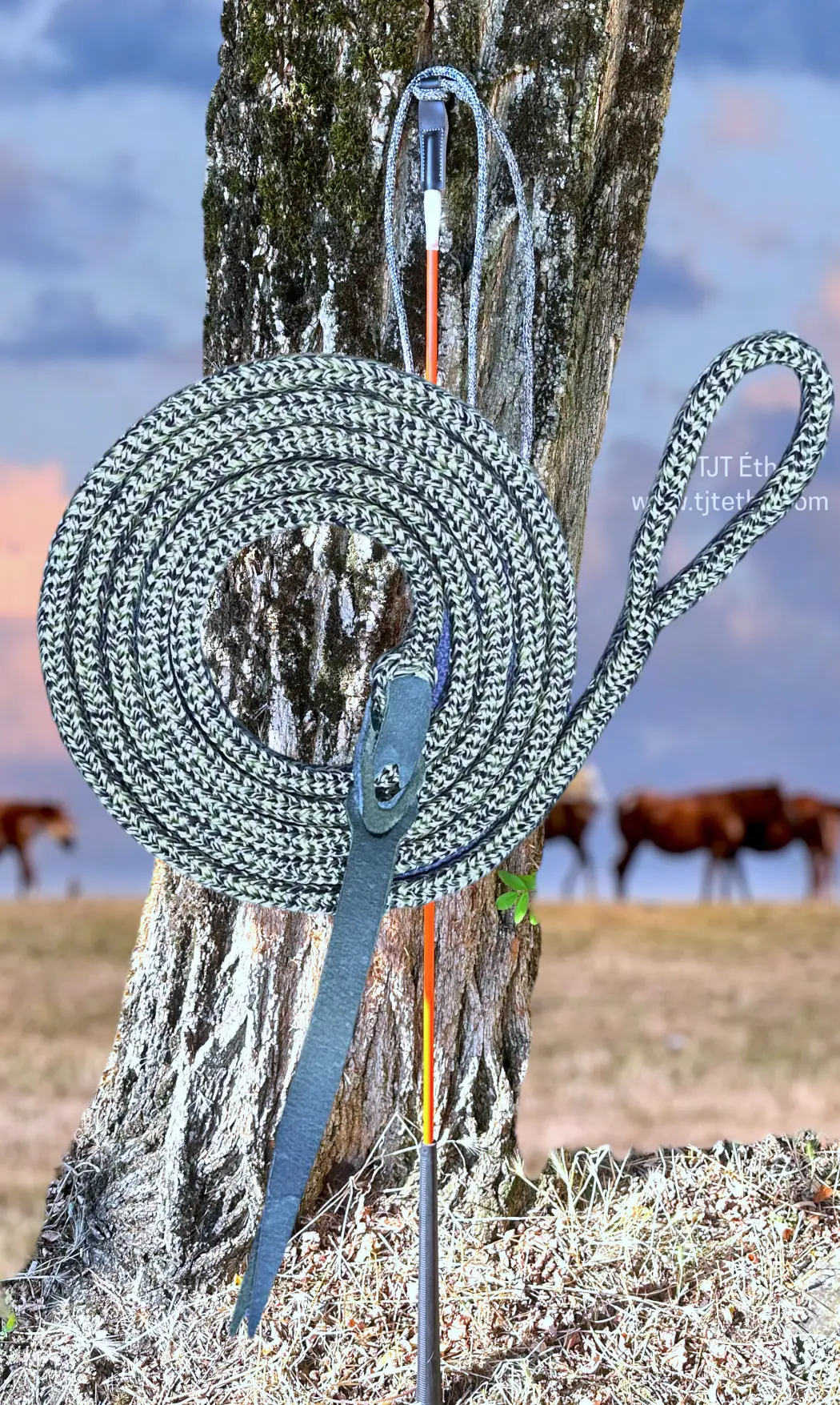 Cordelette de carrot stick