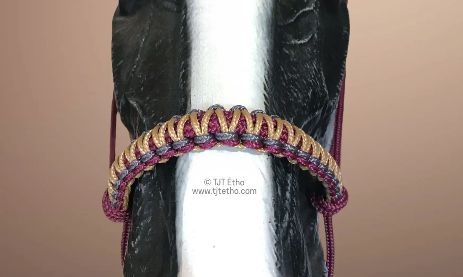 Tressage Macramé Bis PPM