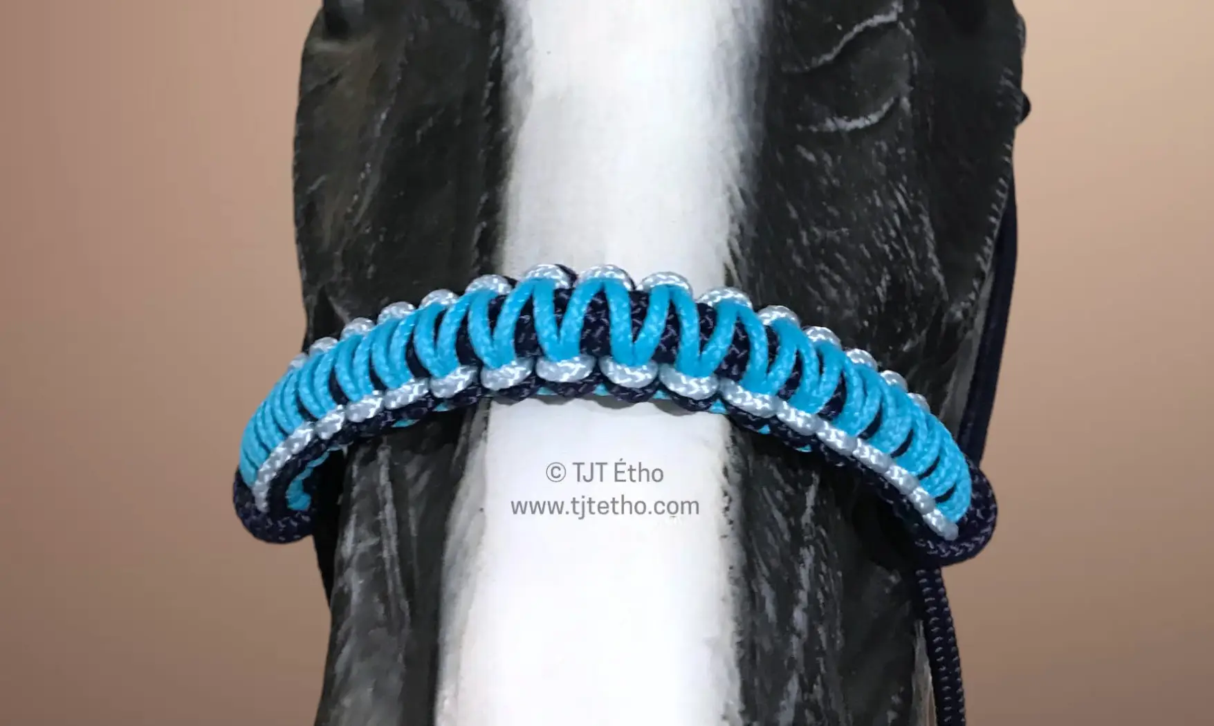 Tressage Macramé Bis PPM