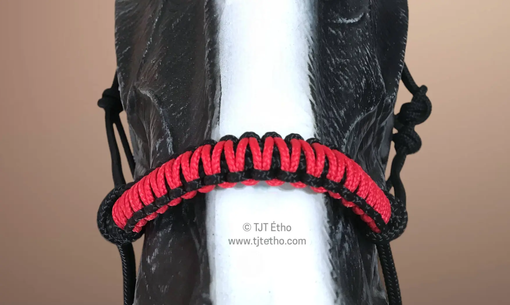 Tressage Macramé PPM