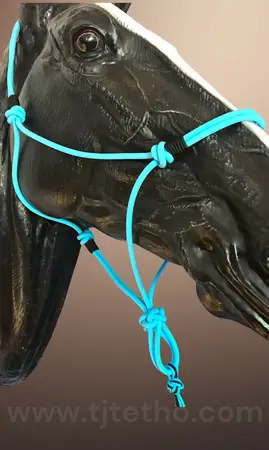 Licol éthologique Noeud Diamant Biothane